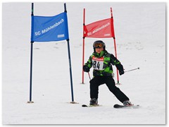 DSC02464DSC02464