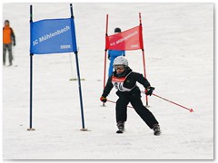 DSC02533DSC02533
