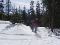 2019_Seefeld-WM   (47)