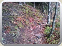 20120422_135916