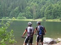 09 Feldsee