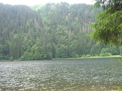 11 Feldsee