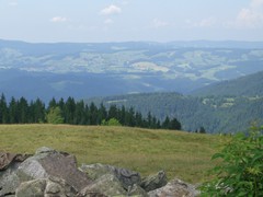 41 auf dem Hinterwaldkopf