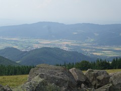 42 auf dem Hinterwaldkopf