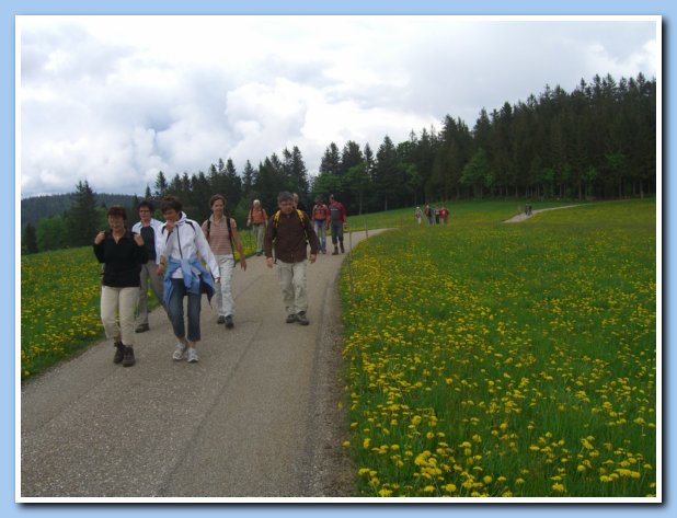 Wanderung Rohrhardsberg 18.05.08 010