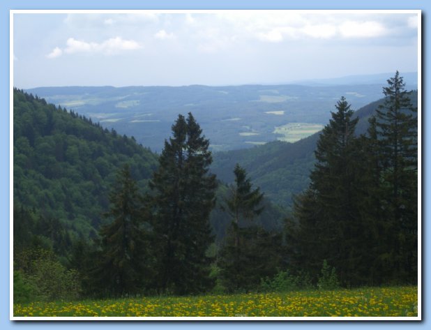 Wanderung Rohrhardsberg 18.05.08 011