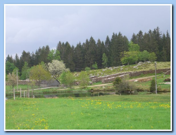 Wanderung Rohrhardsberg 18.05.08 014