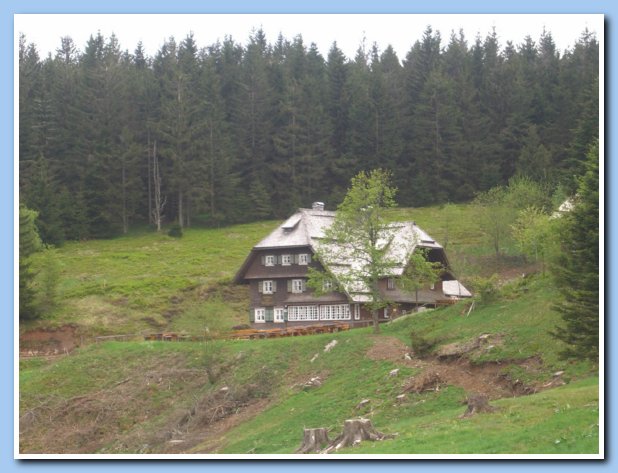 Wanderung Rohrhardsberg 18.05.08 019