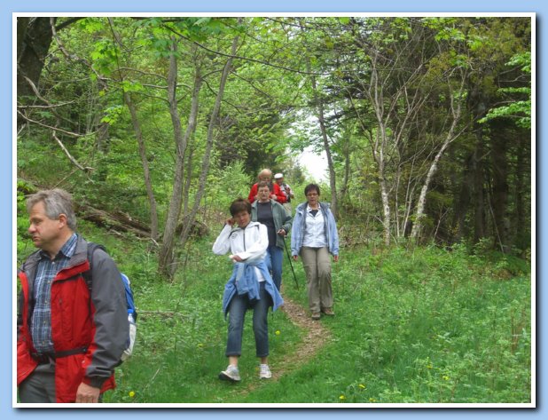 Wanderung Rohrhardsberg 18.05.08 021