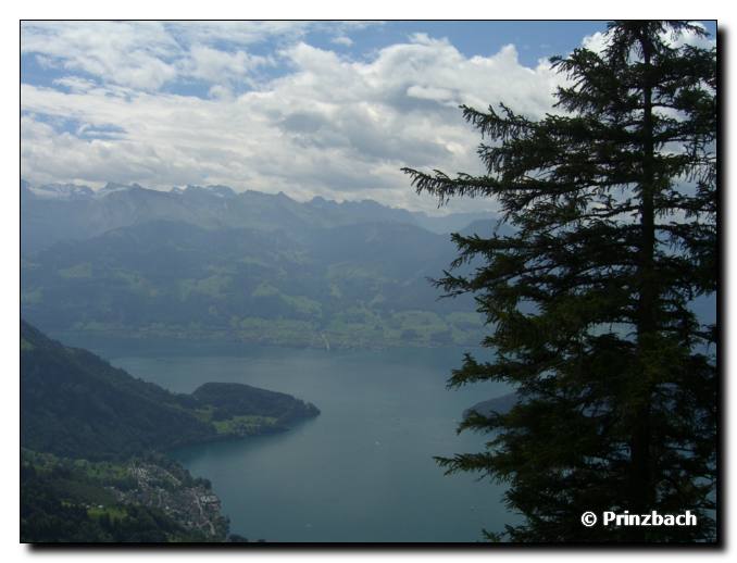 Rigi 29.07.07 040