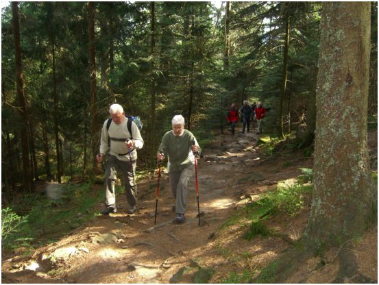 11 Aufstieg zur Badener Hhe