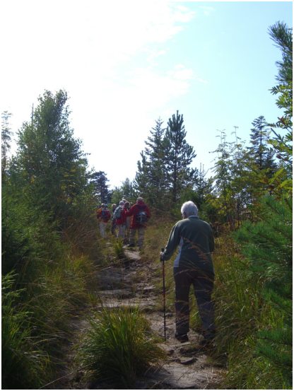 13 Aufstieg zur Badener H�he