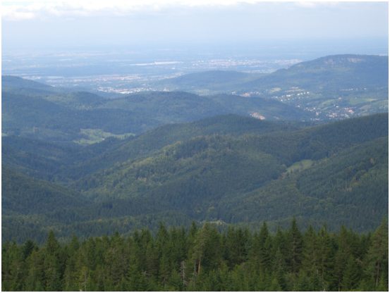 20 Aussicht vom Friedrichsturm