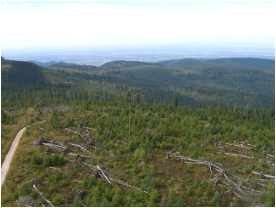 23 Aussicht vom Friedrichsturm