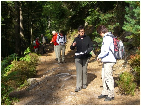 7 am Herrenwieser See