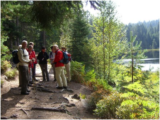 9 am Herrenwieser See