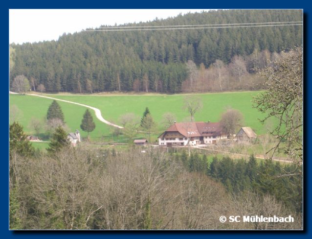 14 Blick zum Hanselehof