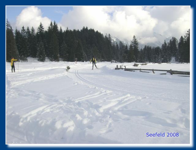 14. Manche sieht man nur noch von hinten