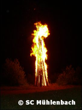 Bilder Sonnwendfeier 2006 022