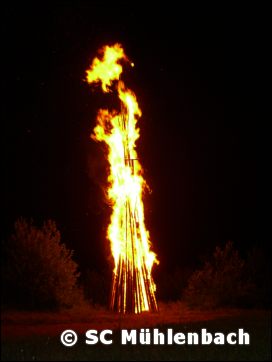 Bilder Sonnwendfeier 2006 023