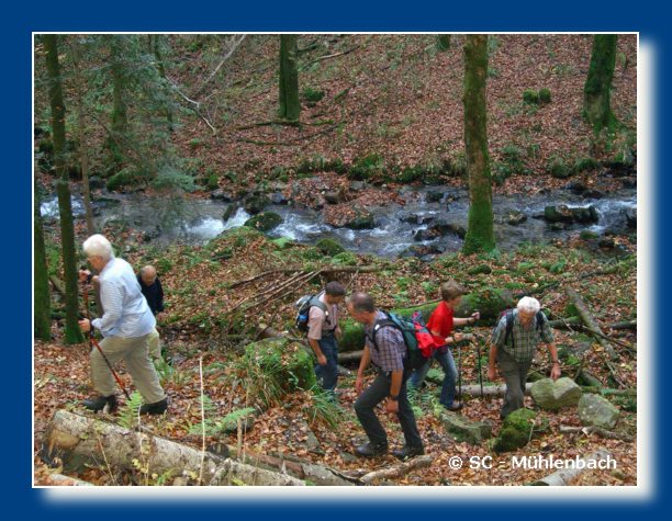 Vogesenwanderung 22.10.06 006