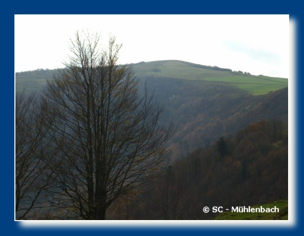 Vogesenwanderung 22.10.06 012
