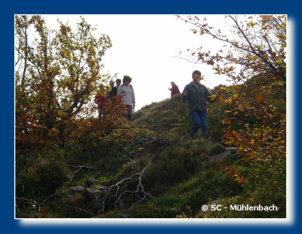 Vogesenwanderung 22.10.06 031