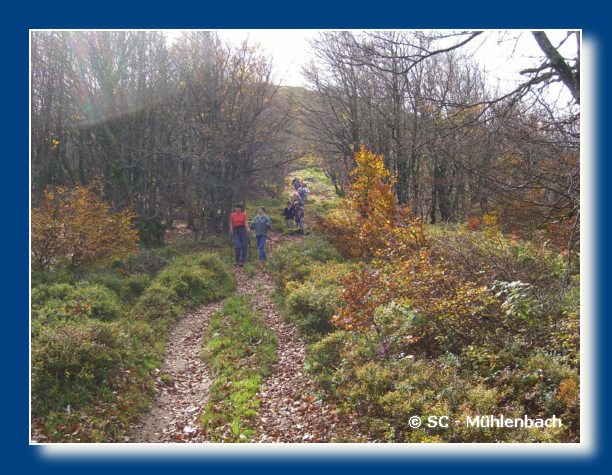 Vogesenwanderung 22.10.06 034