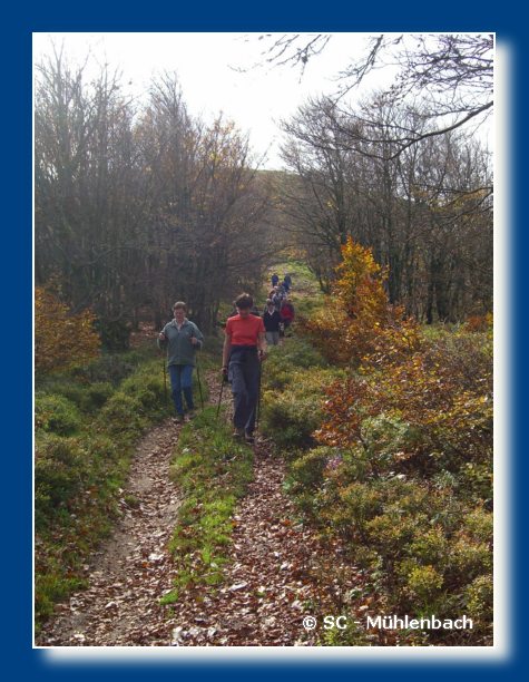 Vogesenwanderung 22.10.06 035