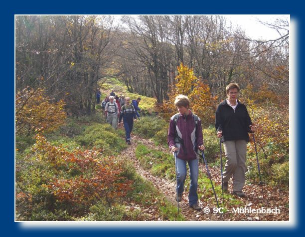 Vogesenwanderung 22.10.06 036