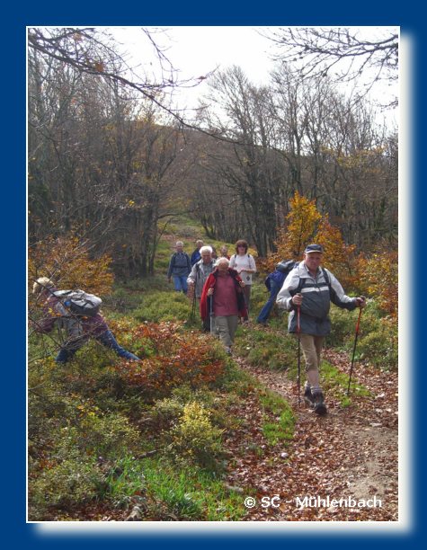 Vogesenwanderung 22.10.06 038