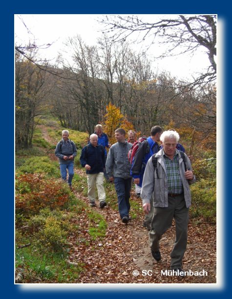 Vogesenwanderung 22.10.06 039