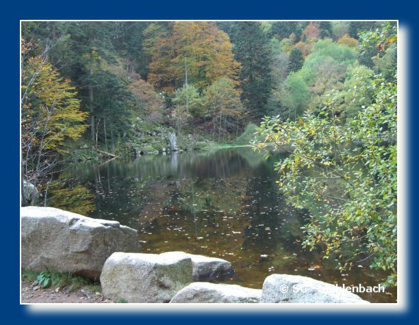 Vogesenwanderung 22.10.06 078